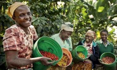 Fairtrade CO2 compensatie